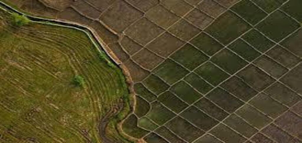 Africa Super El Niño: $20 Billion Economic Blow Warned