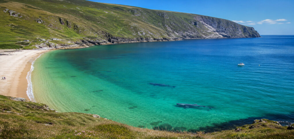Ireland Basking Sharks Offer Incredible Wildlife Encounter