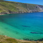 Ireland Basking Sharks Offer Incredible Wildlife Encounter
