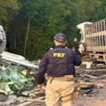 Brazil Bus Crash Kills 23 in Head-On Collision