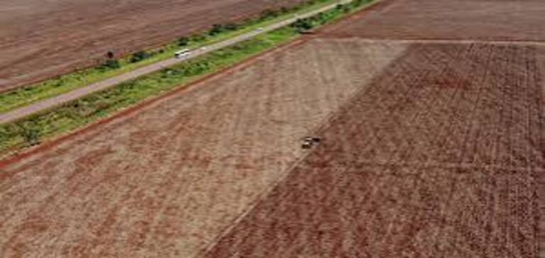 Amazon soy moratorium and soybean farming in Brazil