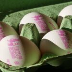 Belgium Salmonella Outbreak Infects at Least 306 People