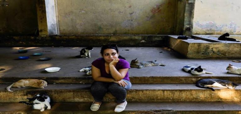 Cuba cat crisis at a struggling rescue center