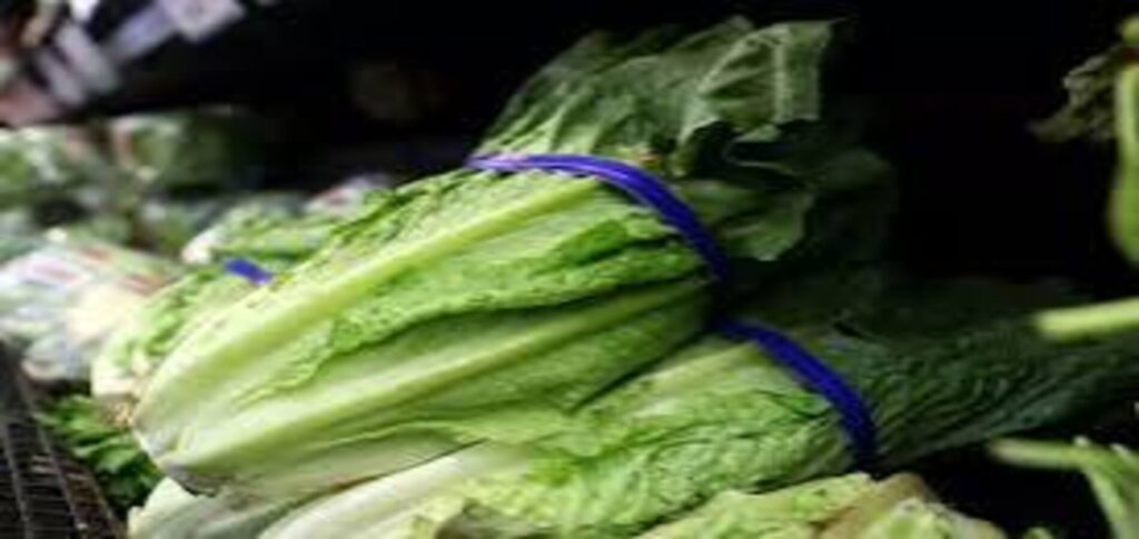 Fresh iceberg lettuce displayed at a grocery store as US health officials investigate a multistate cyclosporiasis outbreak linked to contaminated lettuce.