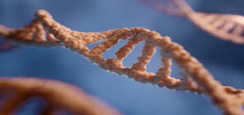 Guardant Health ordered to pay $245.2 million in DNA sequencing patent dispute