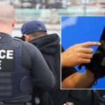 ICE Shock Gloves: Agency Plans $16.7M Purchase