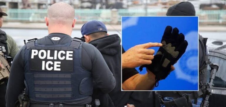 ICE shock gloves planned for immigration enforcement