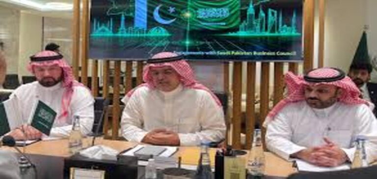 Saudi business delegation Pakistan investment talks