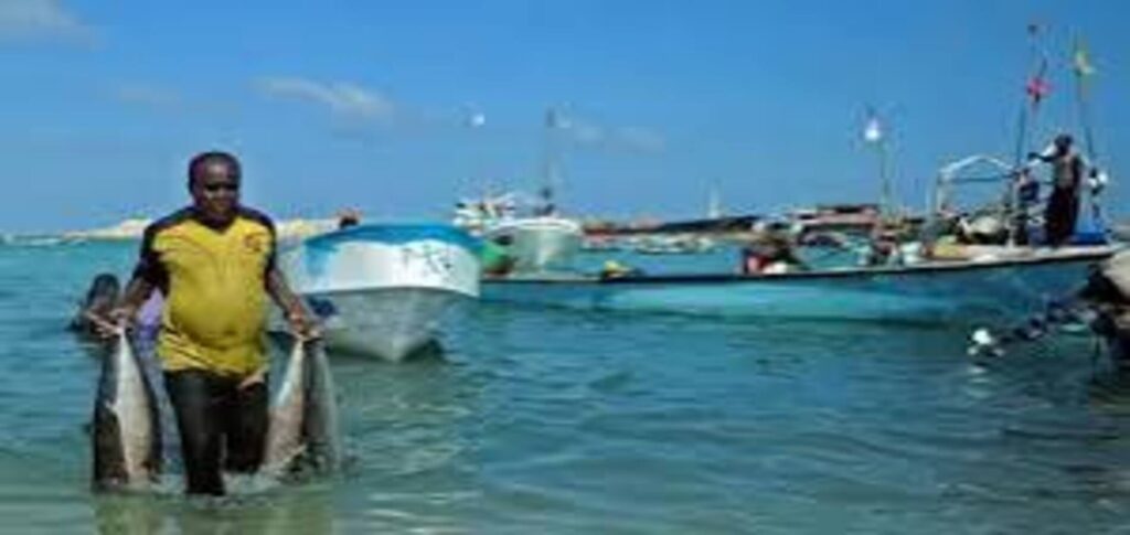 Somali piracy surge threatens ships as US-Iran war disrupts regional shipping routes