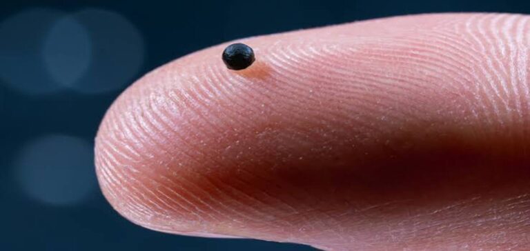 Tiny CiliaVine medical robot designed to deliver drugs and capture cancer cells inside blood vessels