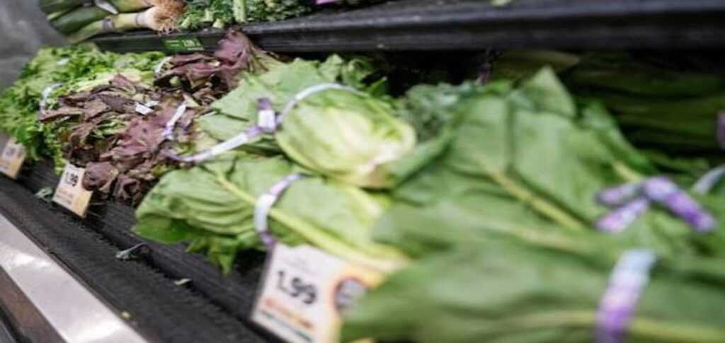 US lettuce outbreak linked to iceberg lettuce as cyclosporiasis cases spread to 20 states