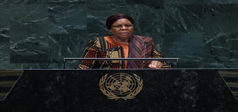 African leaders push for permanent UN Security Council seats