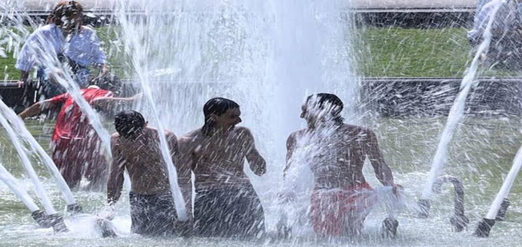 Belgium records nearly 3,000 excess deaths during summer heatwaves