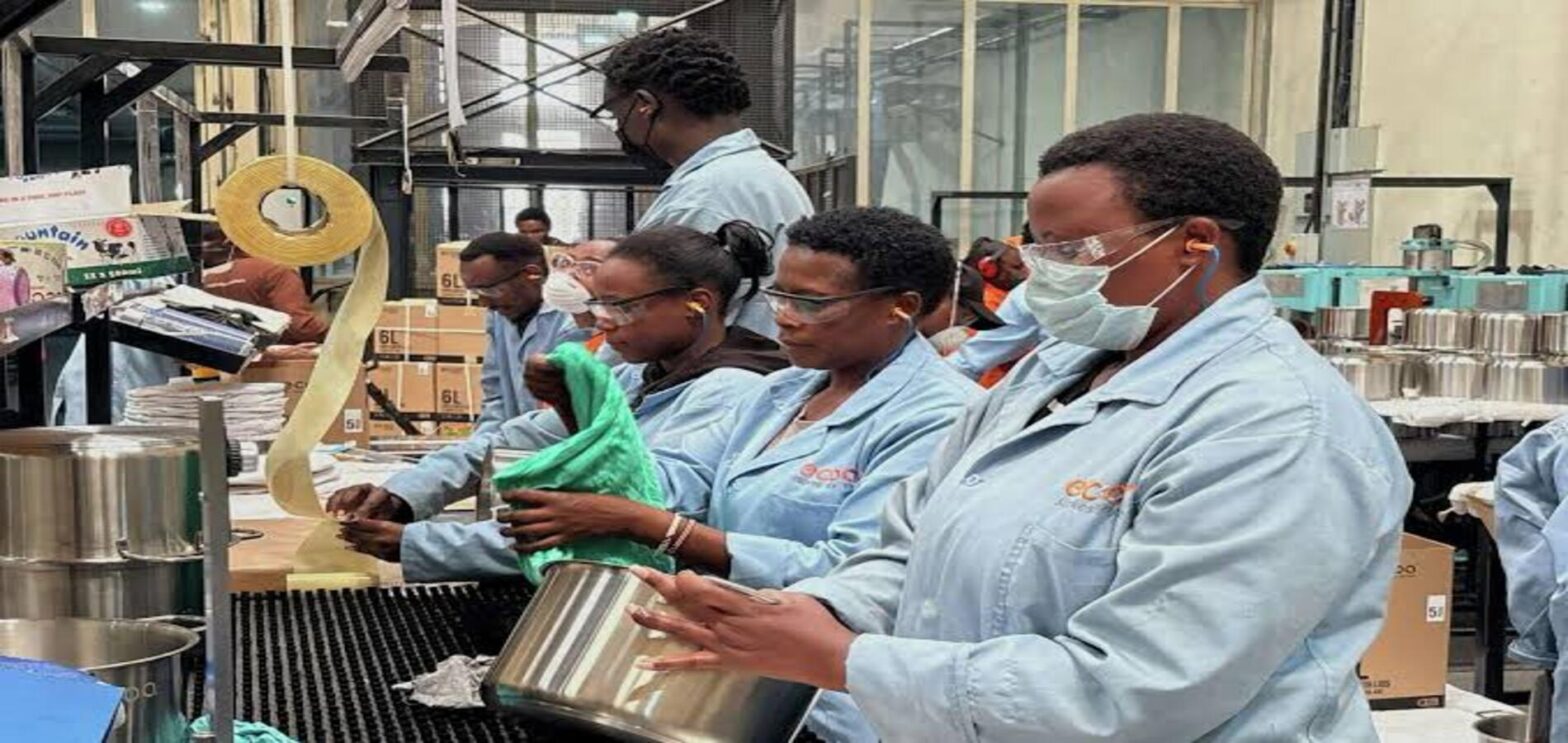 Carbon credit financing helps expand clean cooking solutions across Africa