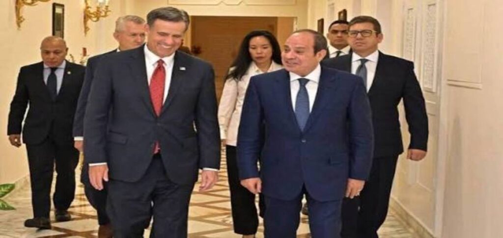 CIA chief John Ratcliffe meets Egypt President Sisi in Cairo