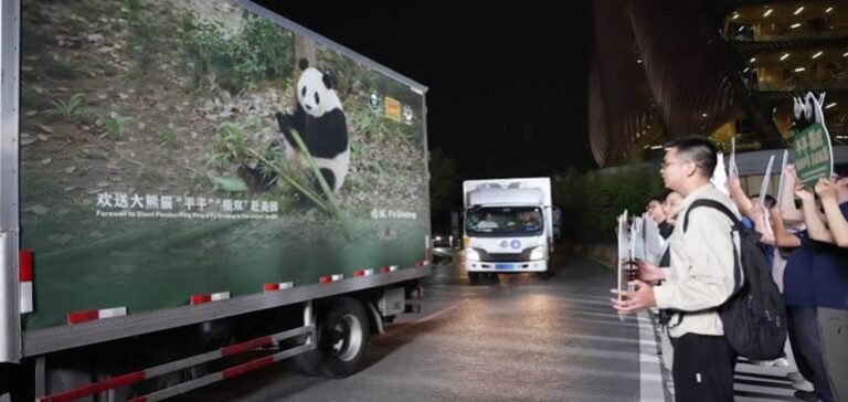 Giant pandas arrive in US from China for a 10-year stay at Zoo Atlanta