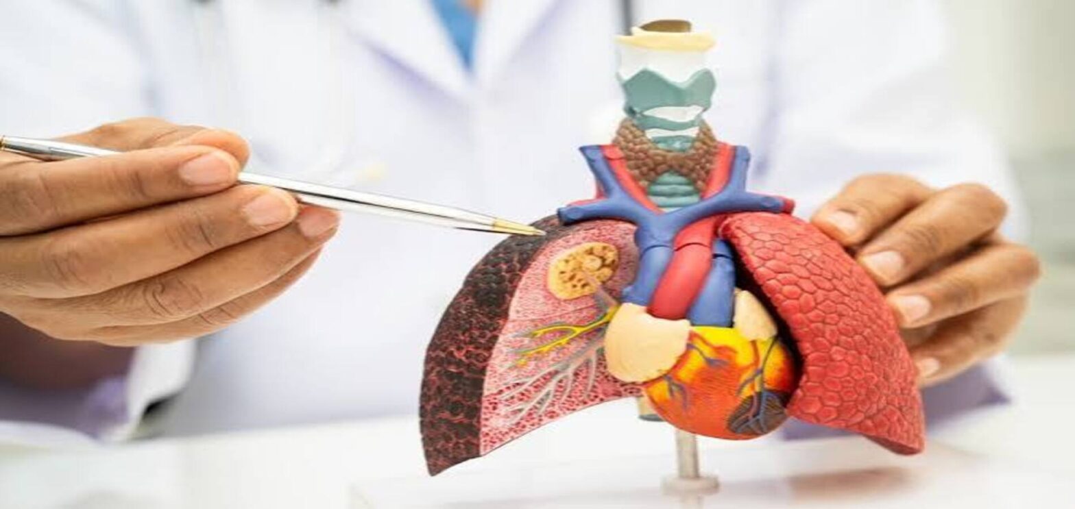 Imfinzi Imdelltra combination shown in a lung cancer treatment concept.