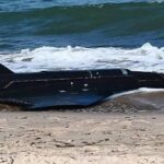 Russian Drone Poland: Explosives Found Near Beach