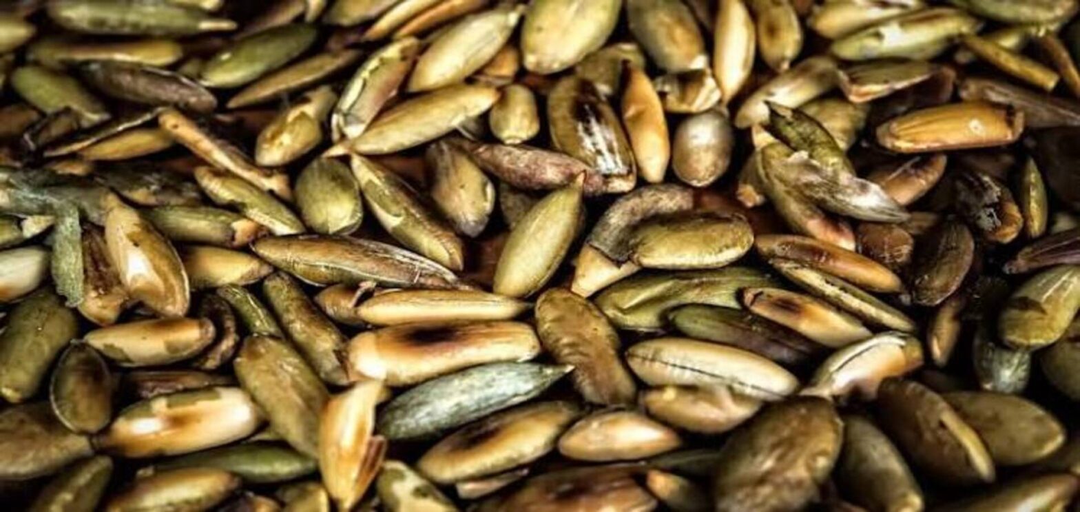 Pumpkin seeds linked to a Salmonella outbreak in France